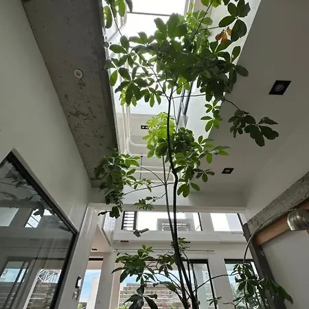 One Loft Design Rooftop Pool - Chambre Chez L'Habitant Riviere Noire Exterior photo